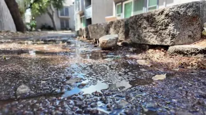 Raw Sewage Pours Through San Antonio’s Palms at 8800 Parking Lot as Tenants Say Health Risks Went Unanswered for Days Sewage and toilet paper spread across the parking lot of a San Antonio apartment complex