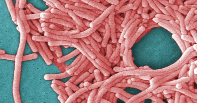 Two Legionnaires’ Disease Cases at Staten Island’s Castleton Park Apartments Trigger a City Investigation Into the Building’s Hot Water System and Resident Guidance Apartment buildings at Castleton Park on Staten Island under city health investigation